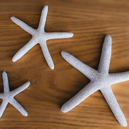 Oasis Mar Pool View Apartment Portimao